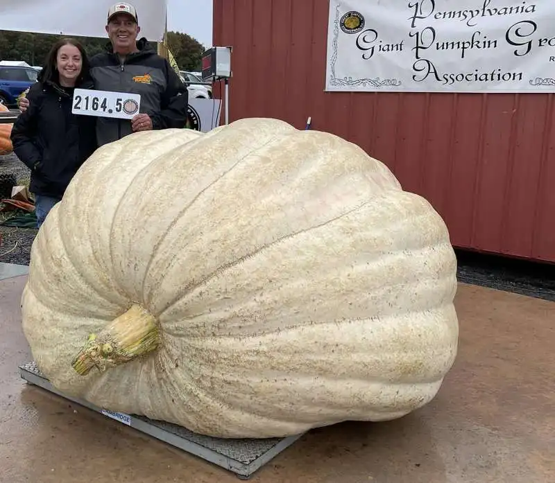 LA ZUCCA DA 1161 CHILOGRAMMI 