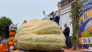 LA ZUCCA DA 1161 CHILOGRAMMI