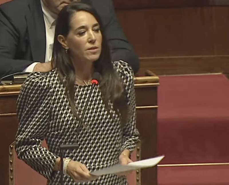 licia ronzulli al senato 5