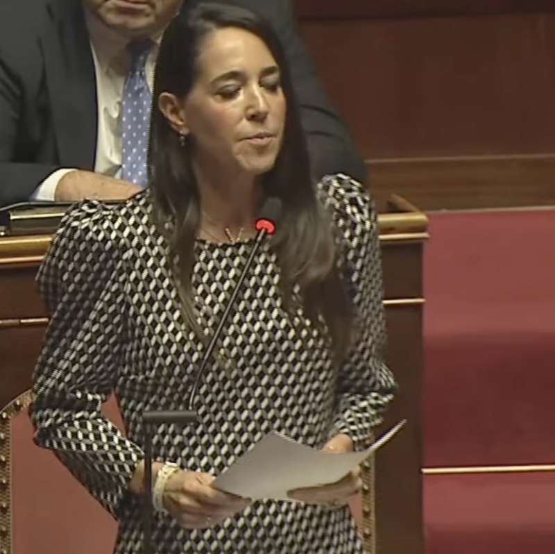 licia ronzulli al senato 6