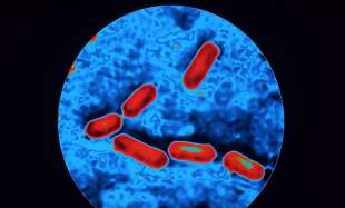 LISTERIA