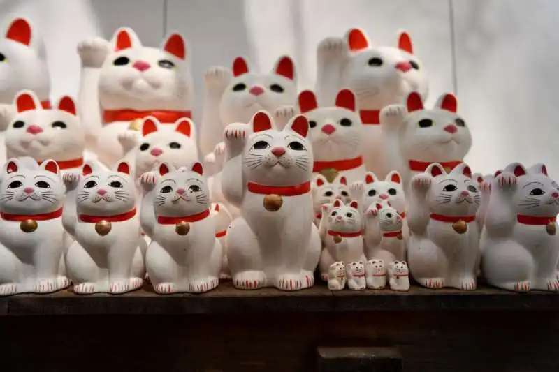 maneki neko 10