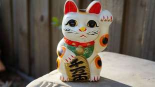 maneki neko 16