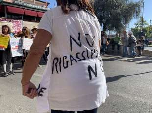 manifestazione contro il rigassificatore a piombino
