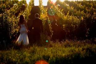 matrimonio azienda vinicola 3