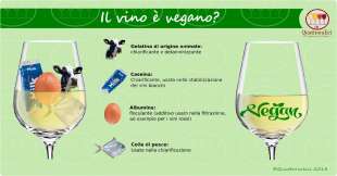 regole vino vegano