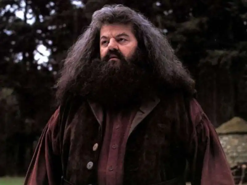 robbie coltrane