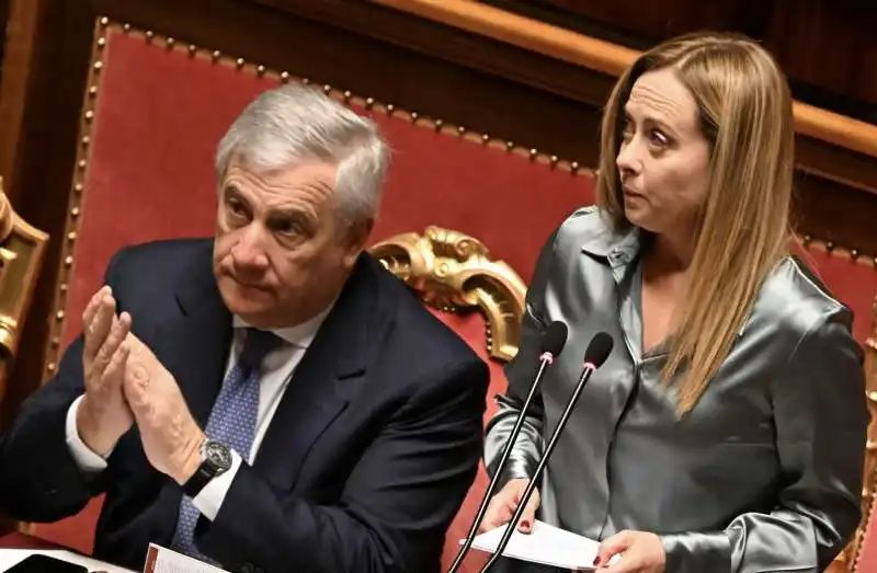 antonio tajani   giorgia meloni al senato  