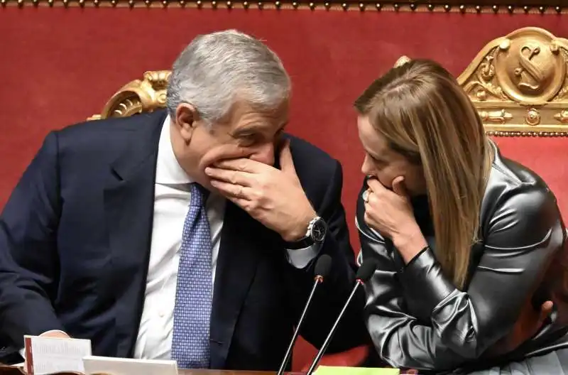 antonio tajani   giorgia meloni al senato 