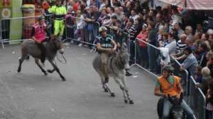 corsa asini di bereguardo 4