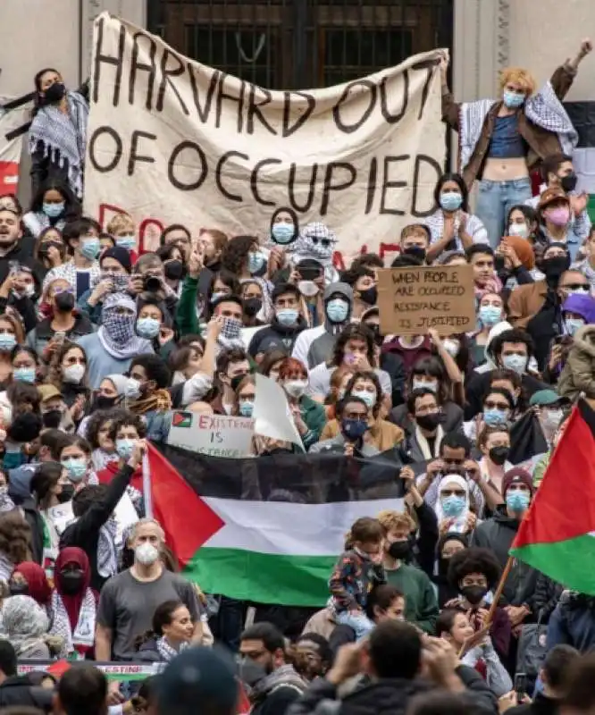 harvard - manifestazione pro palestina 