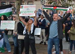 harvard palestine solidarity group 2