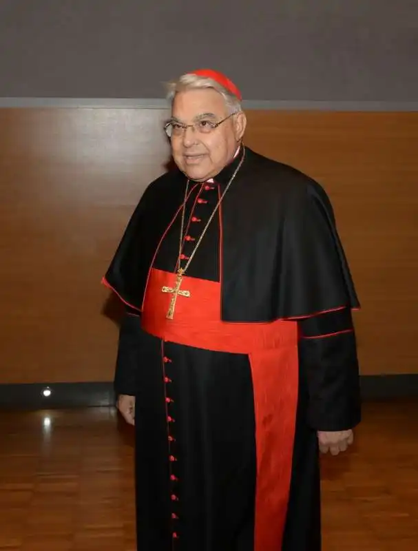 il cardinale marcello semeraro  foto di bacco