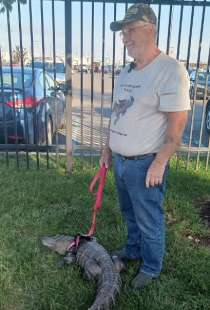 joie henney con il suo alligatore wally fuori dallo stadio di philadelphia