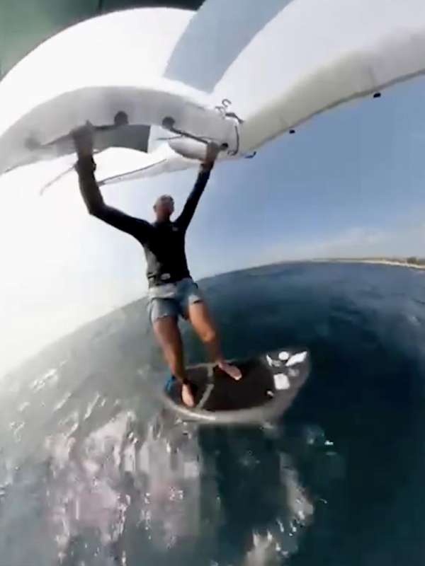 kitesurfer si scontra con cucciolo di balena 1