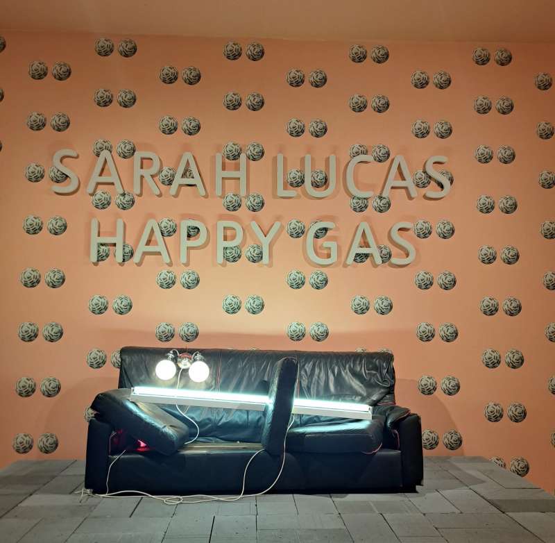 sarah lucas happy gas 1