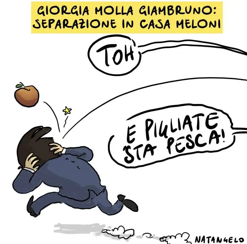 VIGNETTA DI NATANGELO SULLA SEPARAZIONE TRA MELONI E GIAMBRUNO 