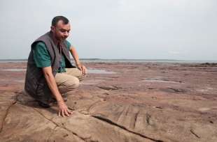 volti scolpiti nella roccia scoperti nel rio delle amazzoni