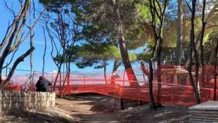 alberi abbattuti nel parco del conero per riprese del film il maestro