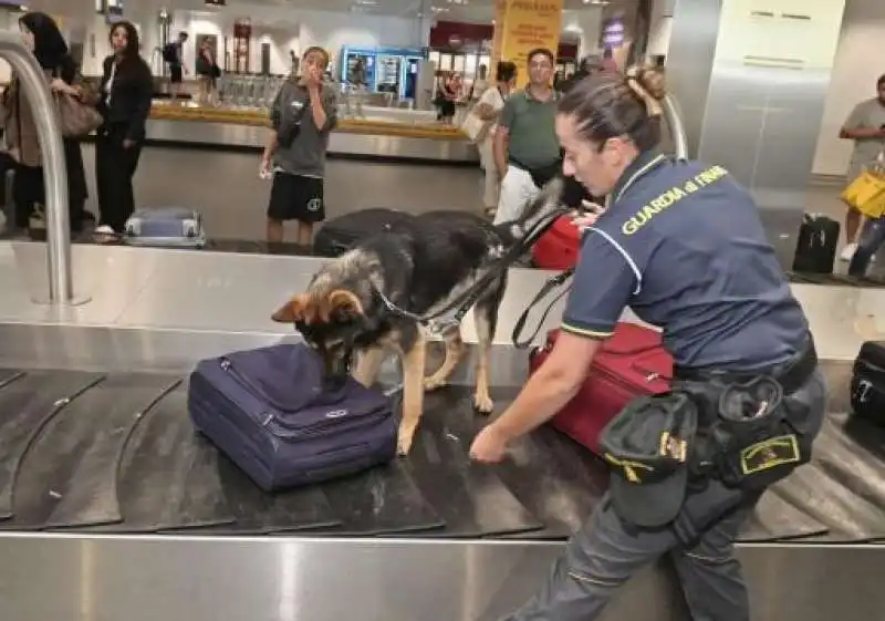 CANE FIUTA GLI STUPEFACENTI ALL AEROPORTO DI ORIO AL SERIO - BERGAMO