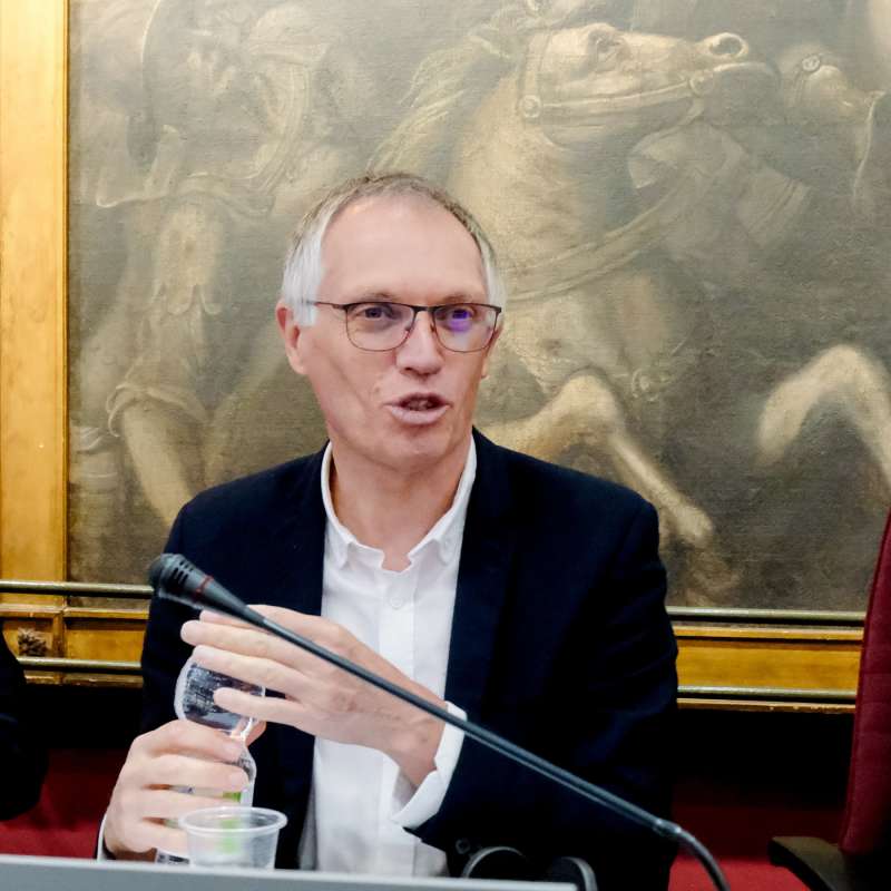 carlos tavares in audizione al senato foto lapresse