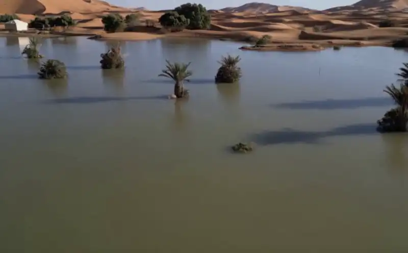 deserto del sahara allagato in marocco 1