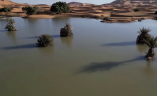 deserto del sahara allagato in marocco 2