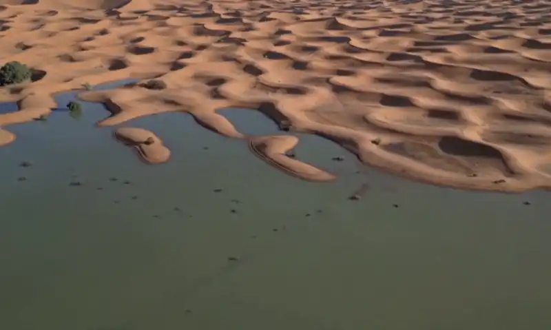 deserto del sahara allagato in marocco 4