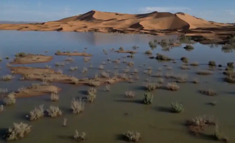 deserto del sahara allagato in marocco 6