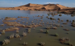 deserto del sahara allagato in marocco 6