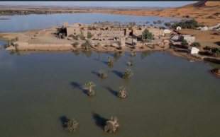 deserto del sahara allagato in marocco 7