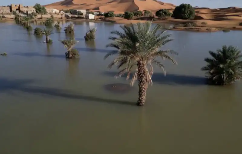 deserto del sahara allagato in marocco 9