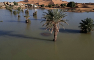 deserto del sahara allagato in marocco 9