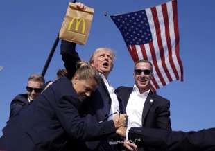 DONALD TRUMP AL MCDONALD'S - MEME