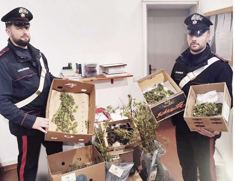 I CARABINIERI DI CORTONA CON LA CANNABIS SEQUESTRATA A UN 60ENNE