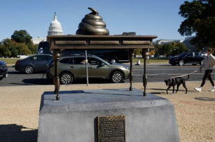 il monumento con le feci comparso davanti al campidoglio a washington 2