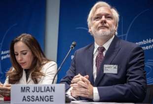 julian assange all assemblea del consiglio d europa a strasburgo 1