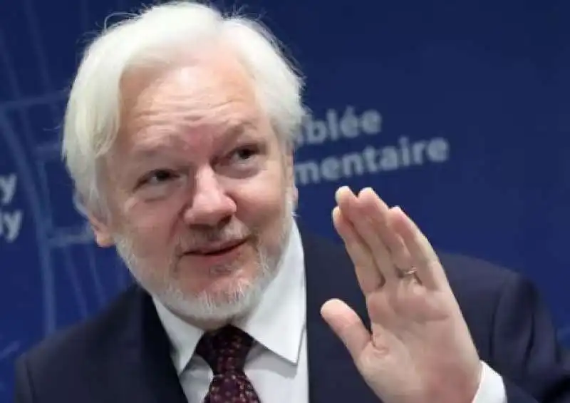 julian assange all assemblea del consiglio d europa a strasburgo 4