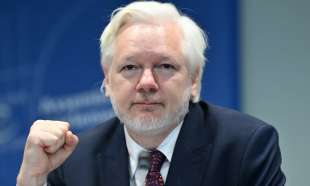 julian assange all assemblea del consiglio d europa a strasburgo 5