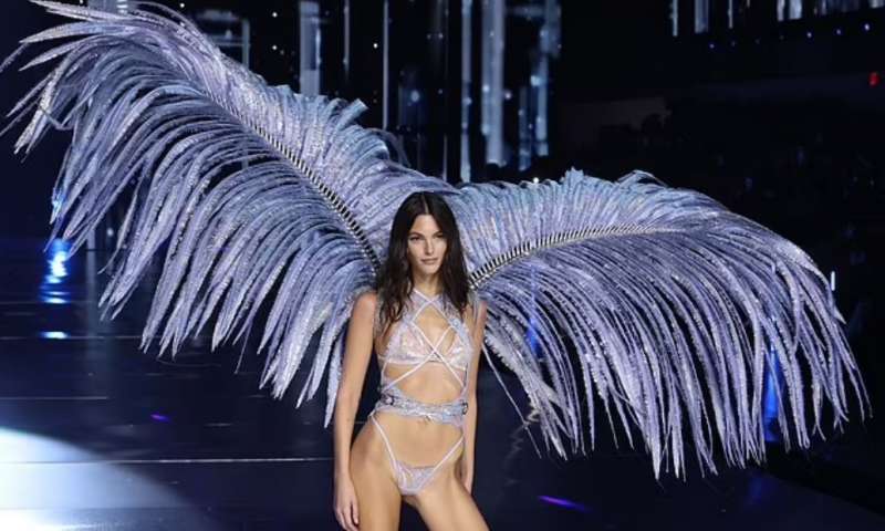 la sfilata di victoria's secret 1