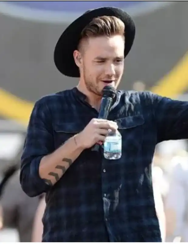 liam payne 33