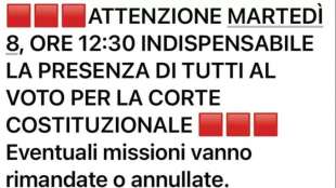 MESSAGGIO INVIATO AI PARLAMENTARI DI FRATELLI D'ITALIA PER IL VOTO SULLA CONSULTA