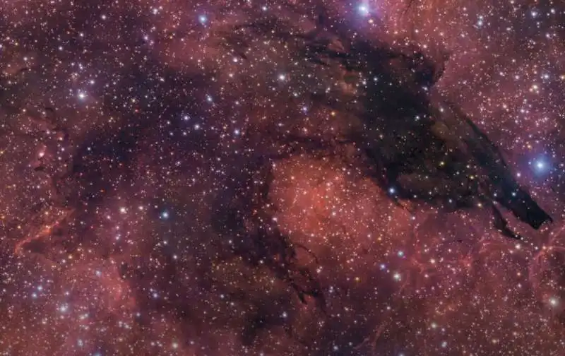 nebulosa del lupo oscuro   4