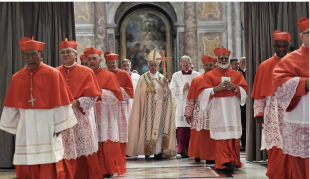 papa francesco cardinali