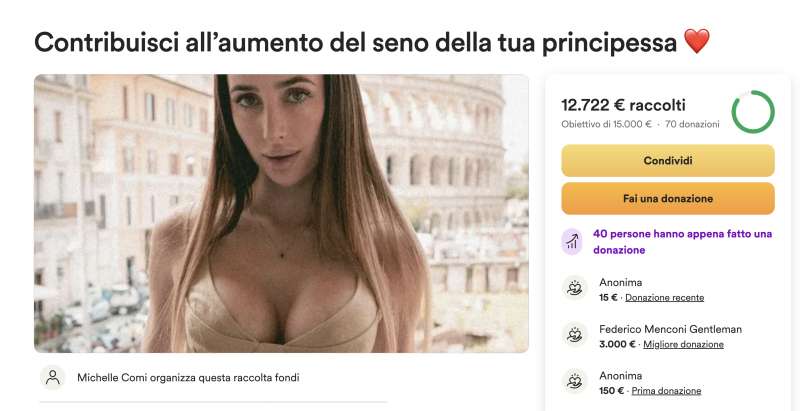 raccolta fondi michelle comi