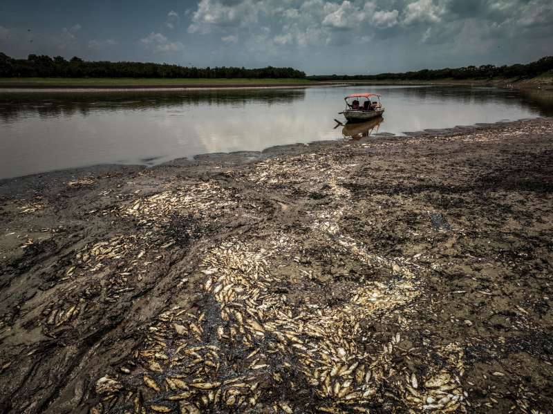 siccita nel rio delle amazzoni