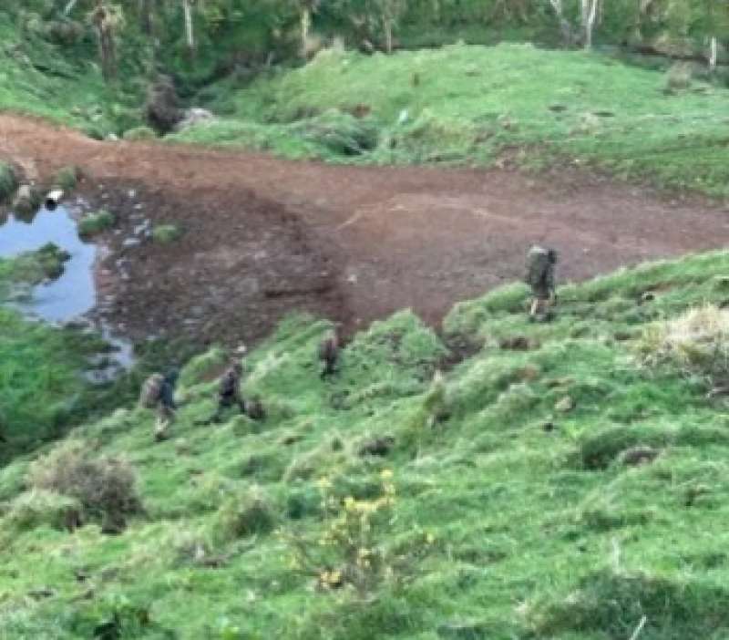 tom philips e i figli avvistati nei boschi della nuova zelanda