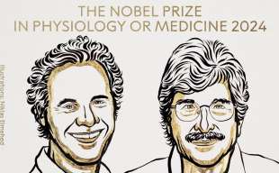 VICTOR AMBROS E GARY RUVKUN - PREMIO NOBEL PER LA MEDICINA 2024