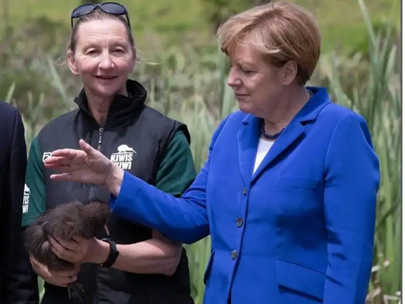 angela merkel in nuova zelanda 10