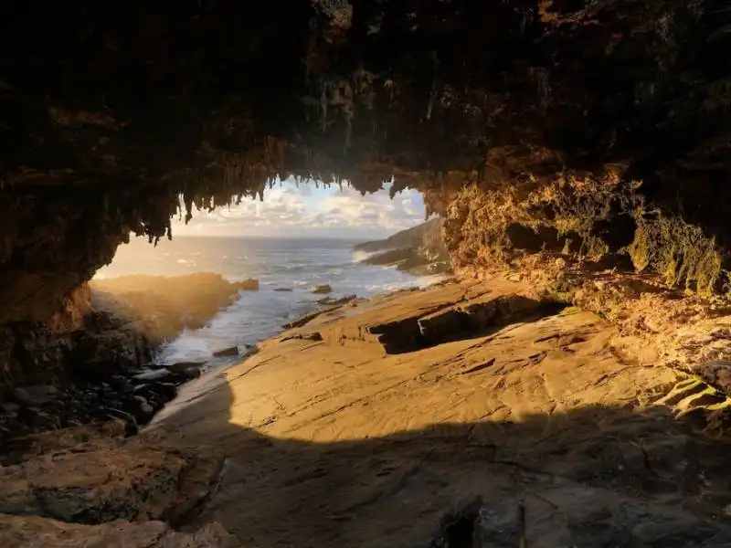 australia, isola dei canguri